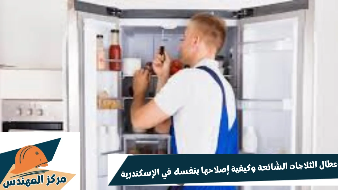 صيانة الغسالات الأتوماتيكية في الإسكندرية (2)